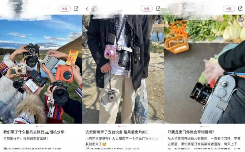 吸收二氧化碳生成“石块” 无花果树实现“碳封存”